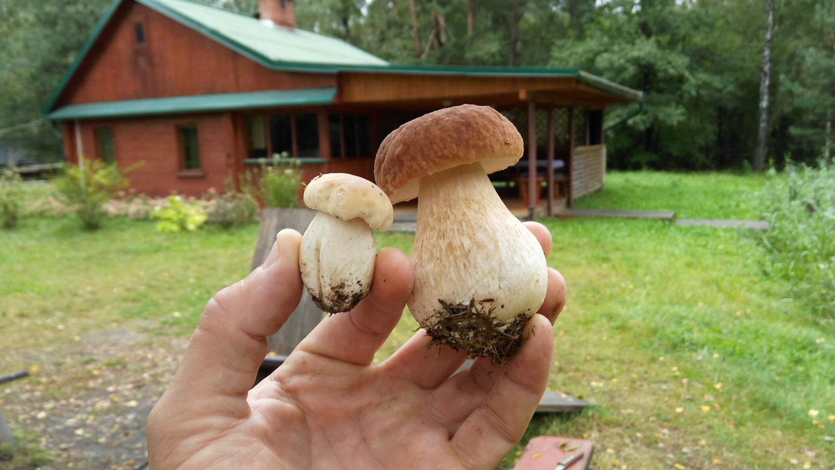 Заезд Зубачи 