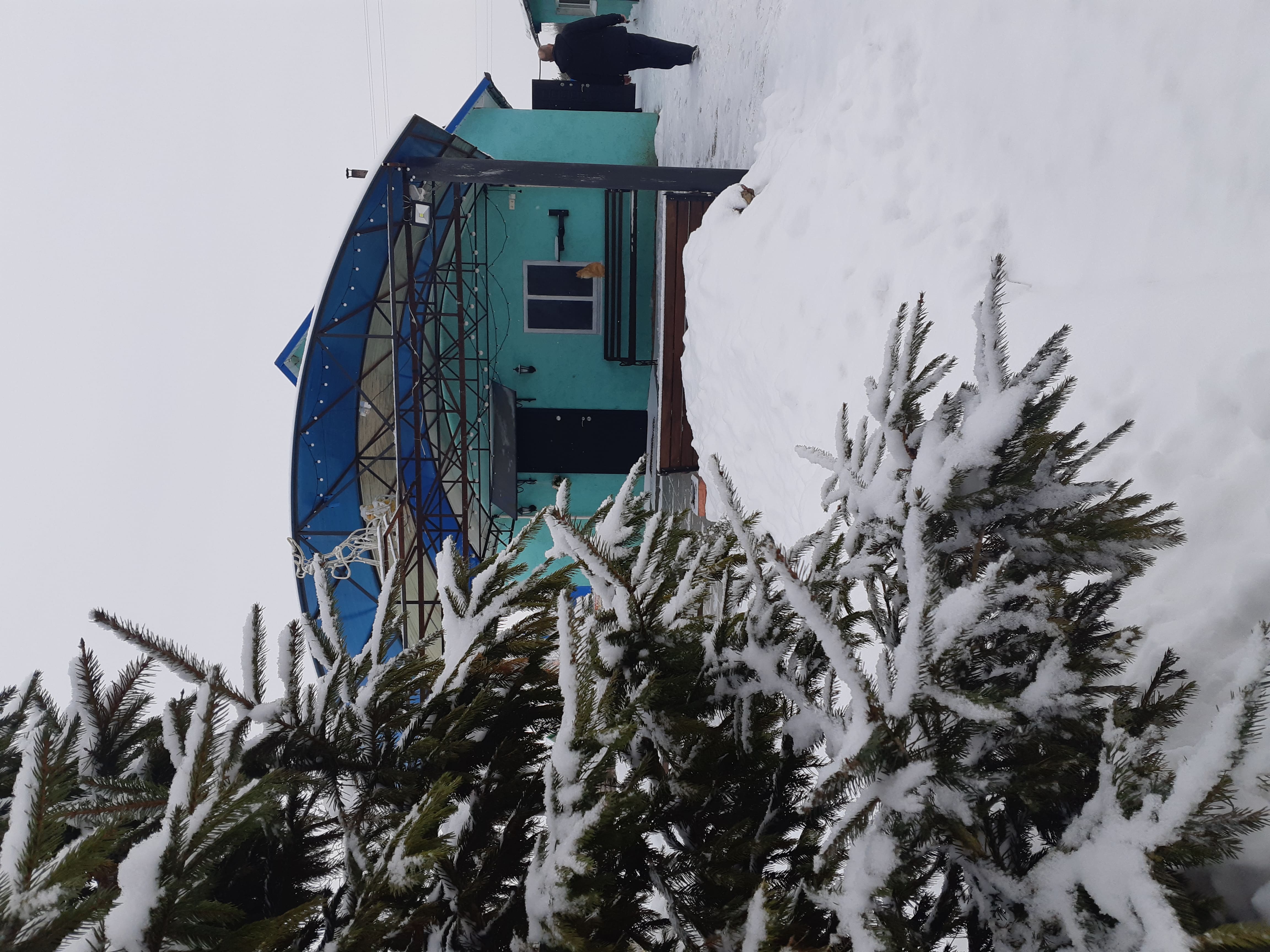 Семейная сказка 