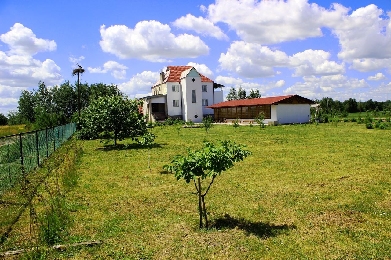 Щедрый заяц 