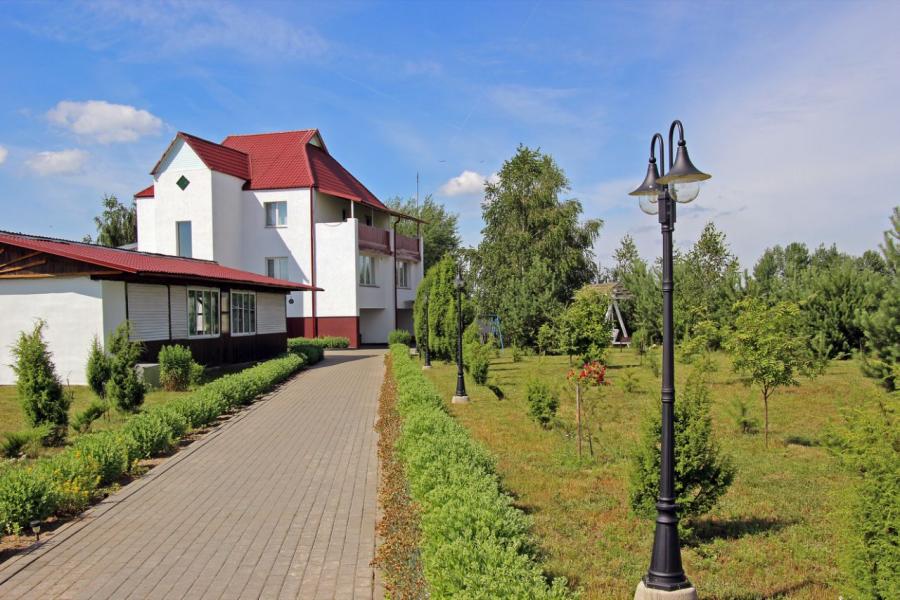 Щедрый заяц 