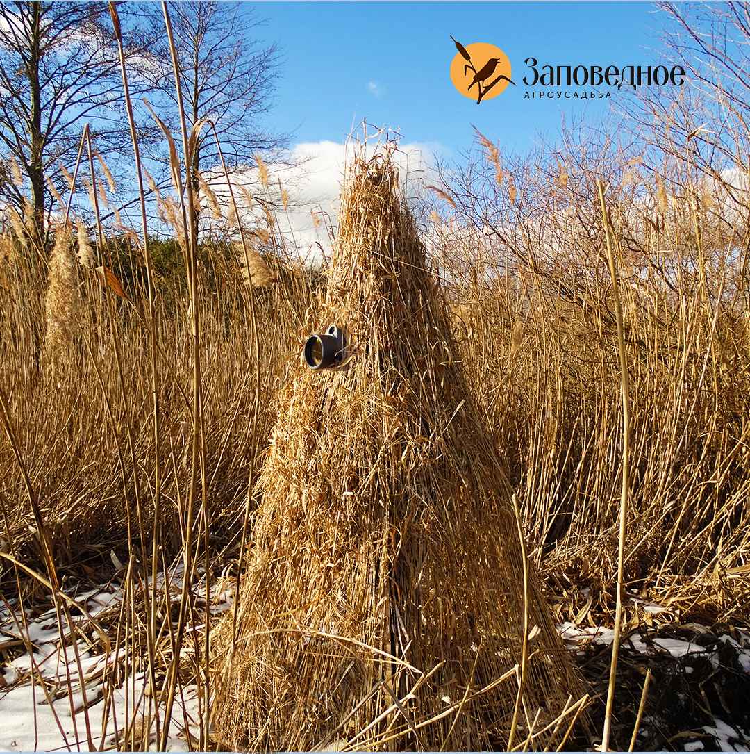 Заповедное 