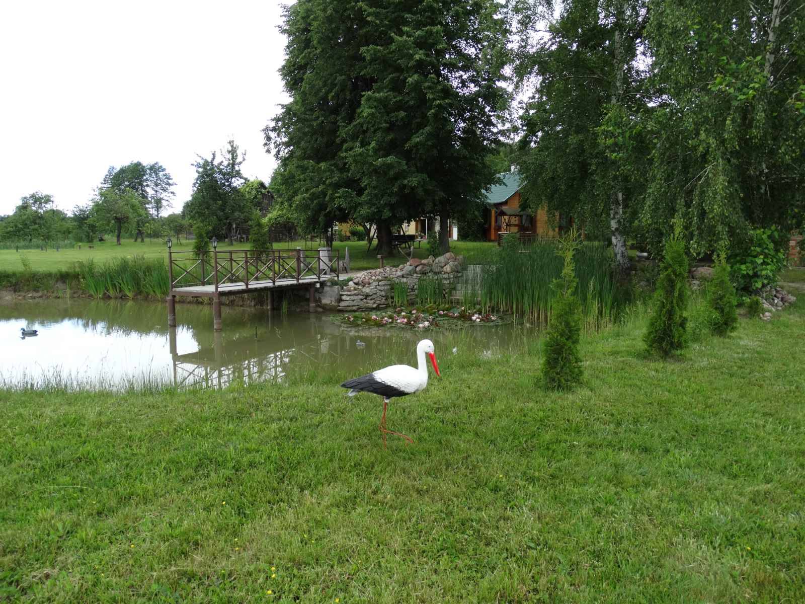 Заповедное 