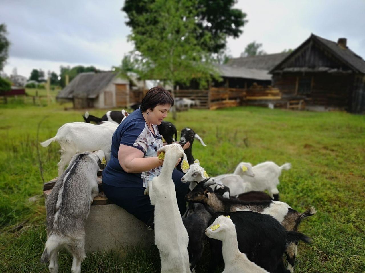 Гаспадарка 