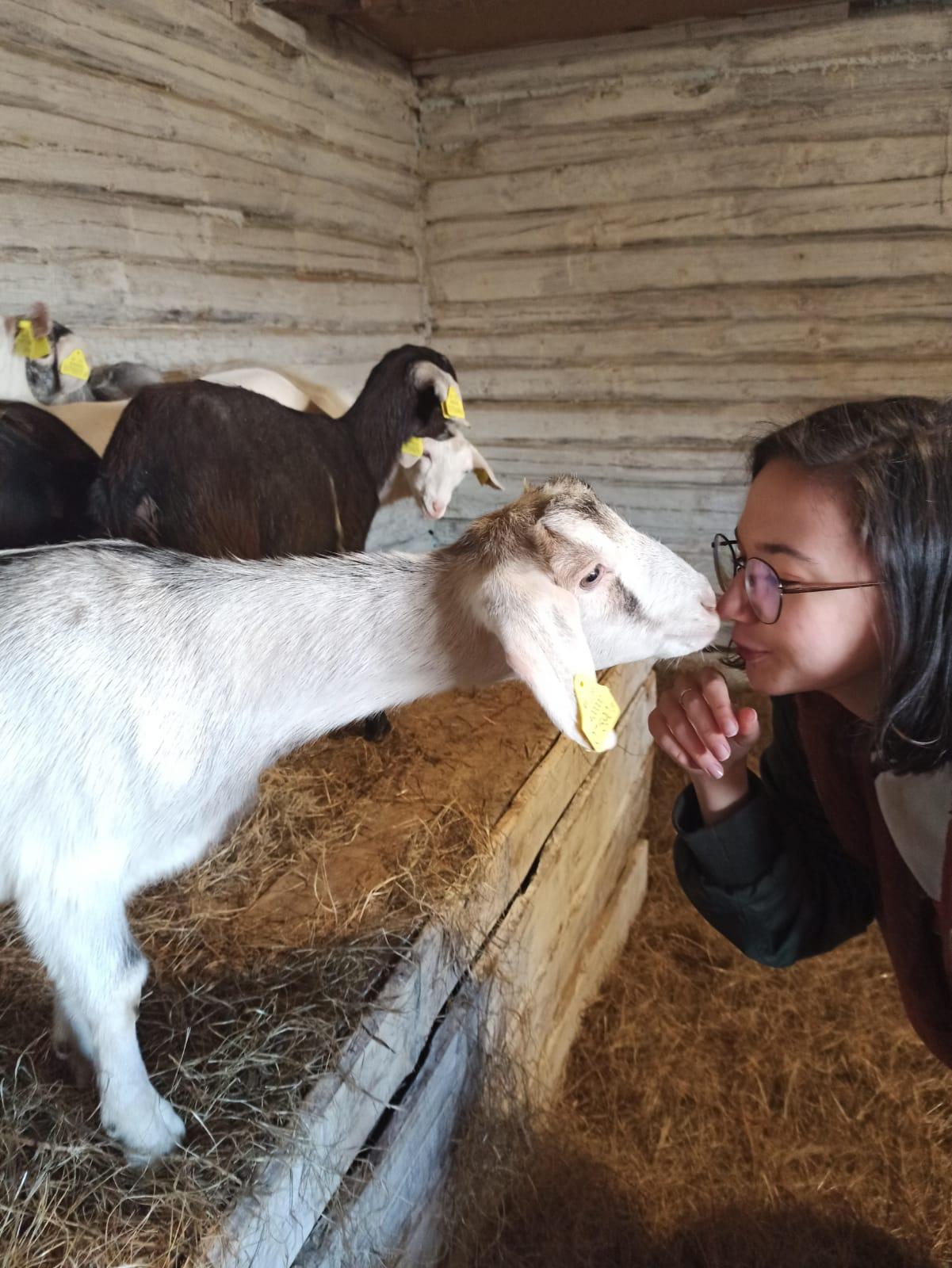 Гаспадарка 