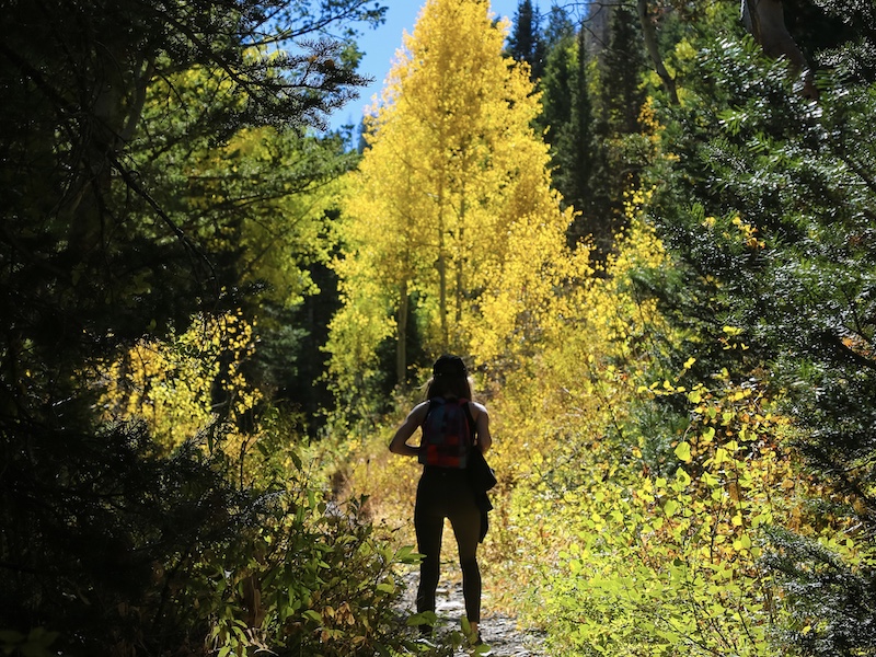 Всемирный день туризма