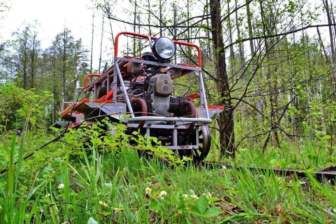 Narrow gauge railway in the 'Ozyory' nature reserve. A magical journey into the world of wild Belarusian nature