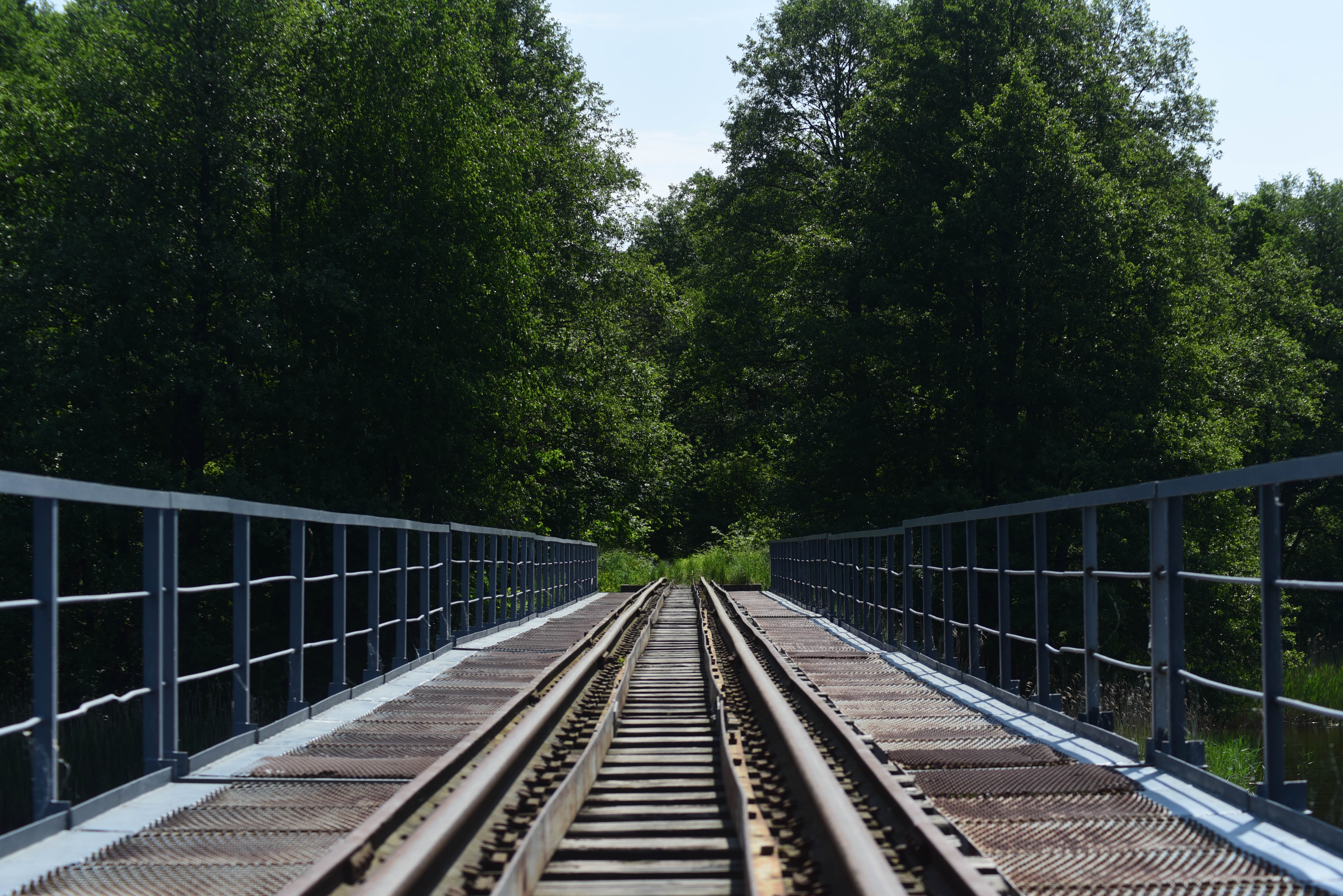 Narrow gauge railway in the 'Ozyory' nature reserve. A magical journey into the world of wild Belarusian nature