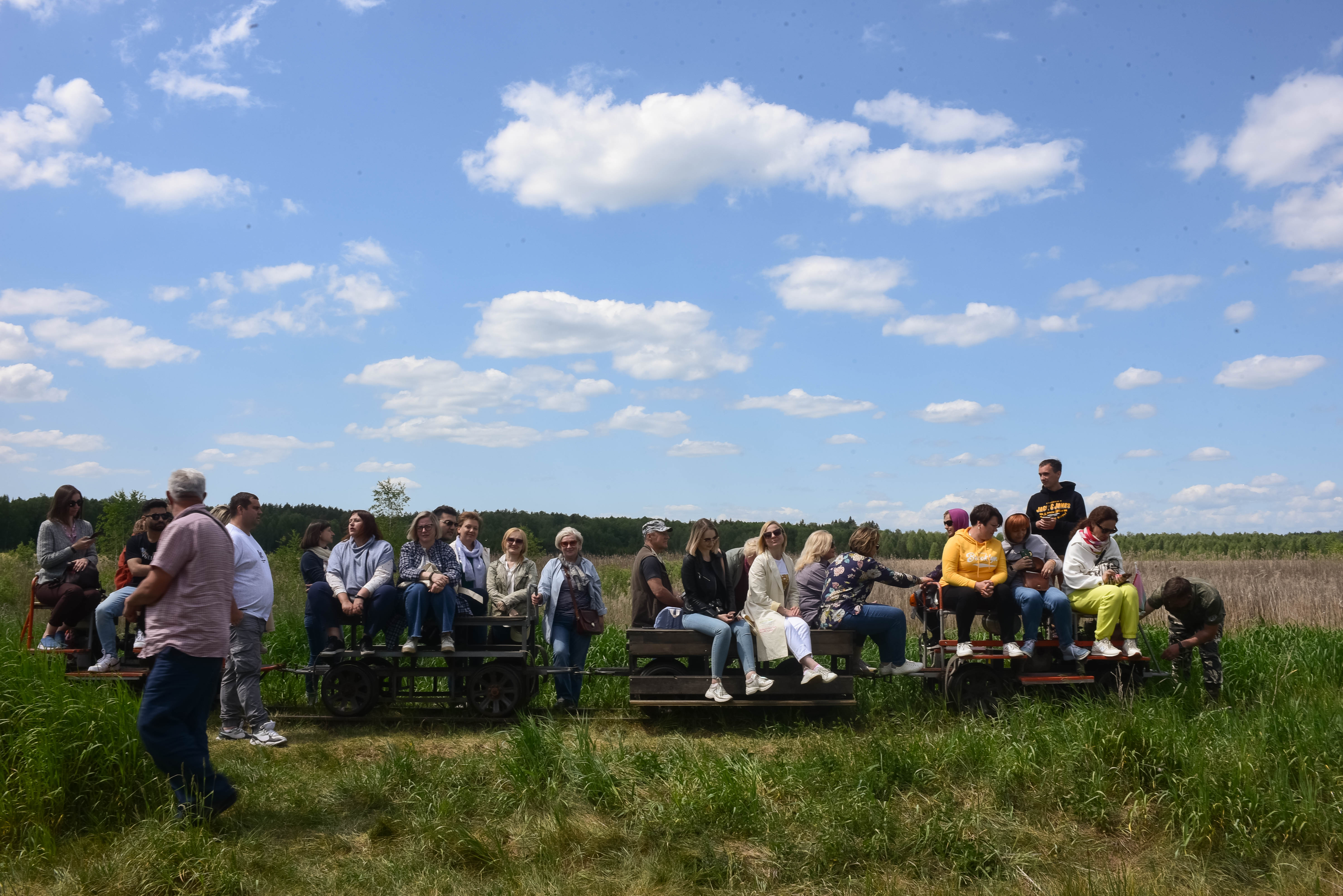 Narrow gauge railway in the 'Ozyory' nature reserve. A magical journey into the world of wild Belarusian nature