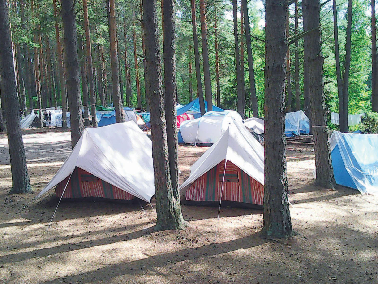 Чтобы ваш отдых был комфортным и хорошо спланированным, свяжитесь с нами перед поездкой!