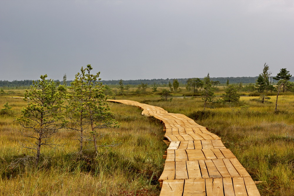 Unusual eco-trails that not all tourists know about — Belarus Travel