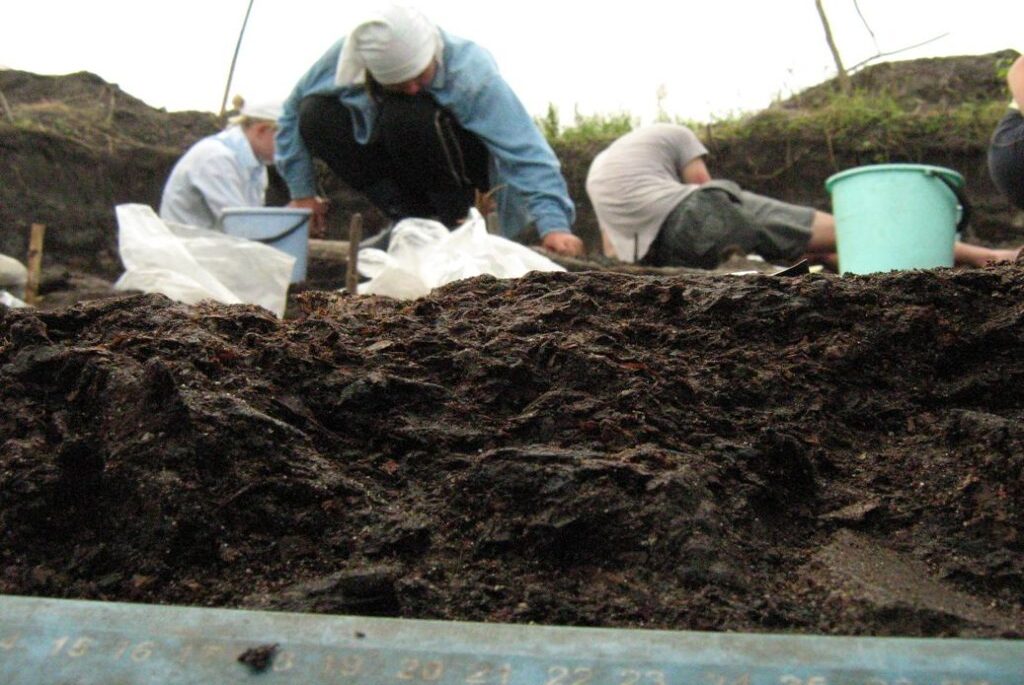 Археологические памятники Кривина и Асавец