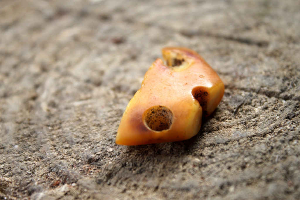 археологические памятники Кривина и Асавец