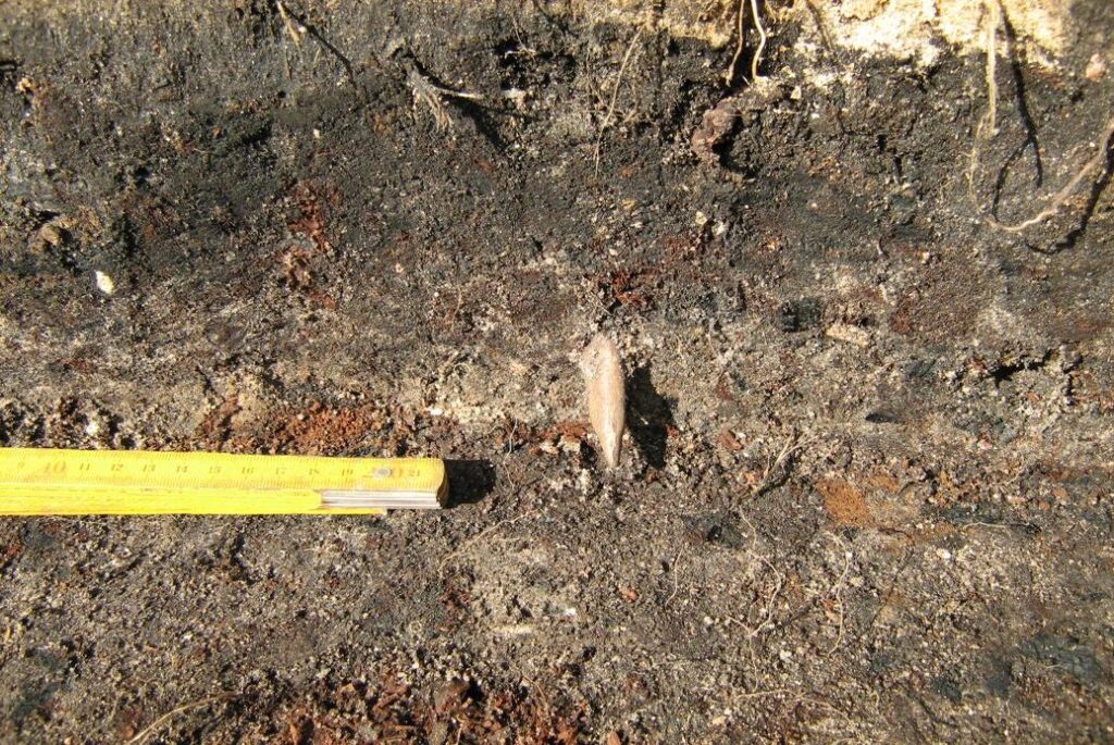 археологические памятники Кривина и Асавец