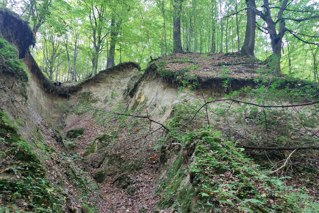 Белорусские каньоны: ландшафтный заказник «Мозырские овраги»