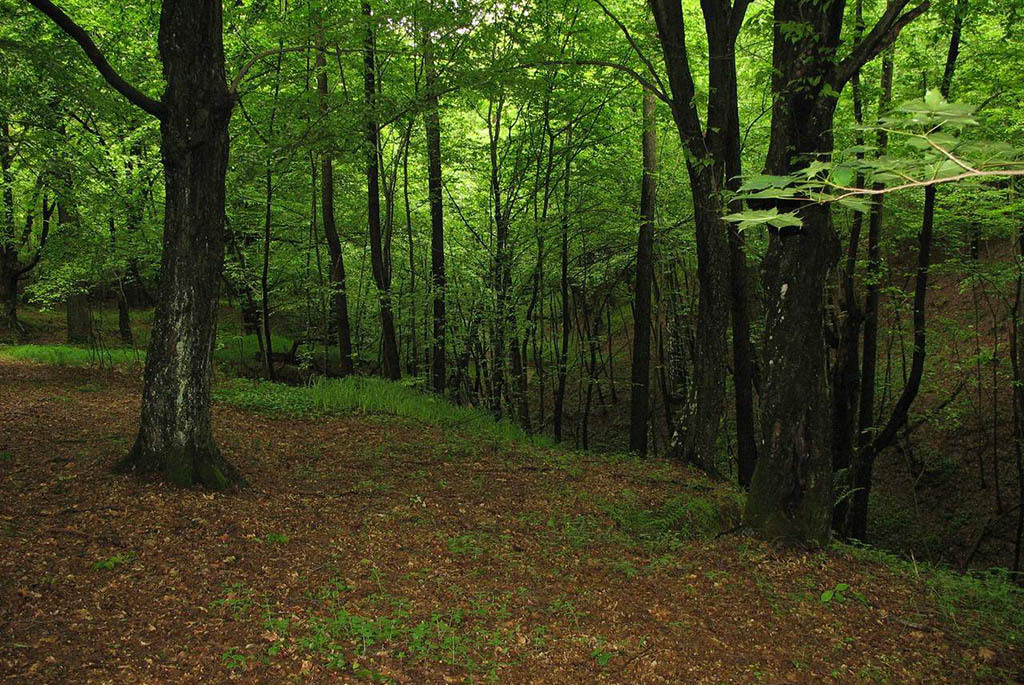 Белорусские каньоны: ландшафтный заказник «Мозырские овраги»
