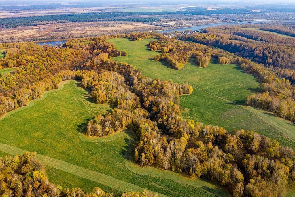 Белорусские каньоны: ландшафтный заказник «Мозырские овраги»