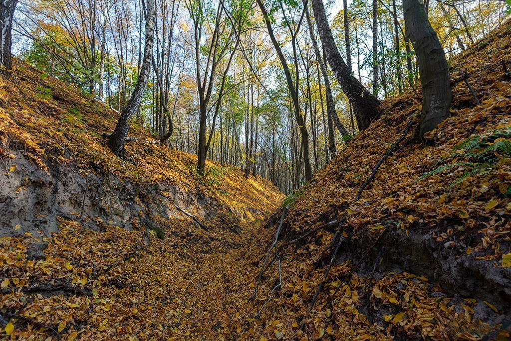 Белорусские каньоны: ландшафтный заказник «Мозырские овраги»