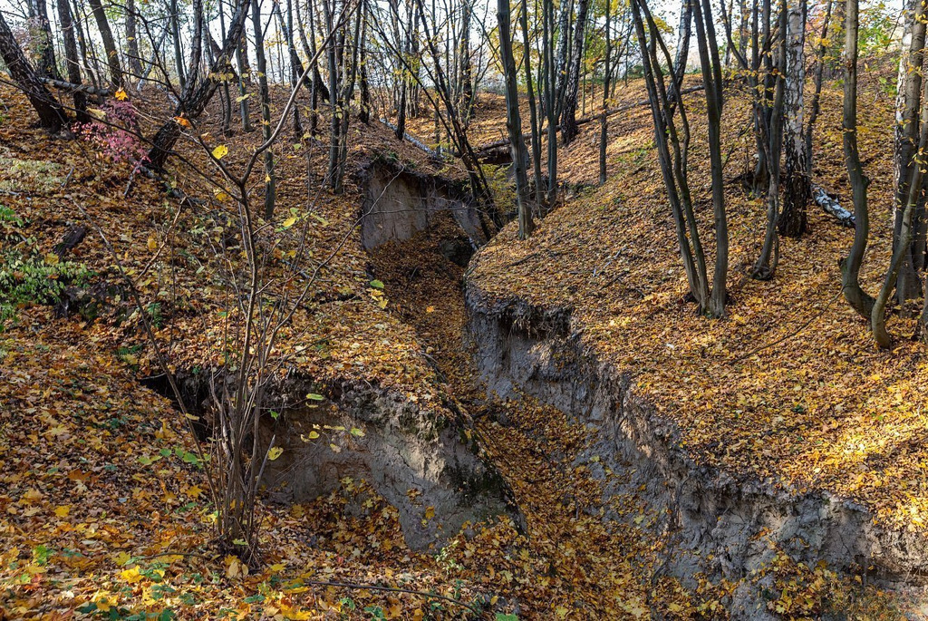 Белорусские каньоны: ландшафтный заказник «Мозырские овраги»