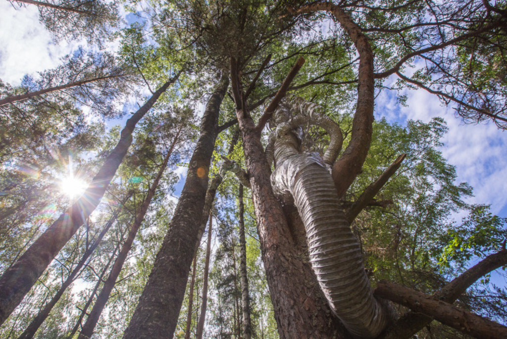 Экологическая тропа «В краю мифов»