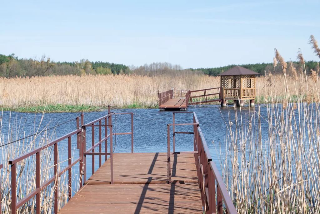 В краю вертлявой камышевки