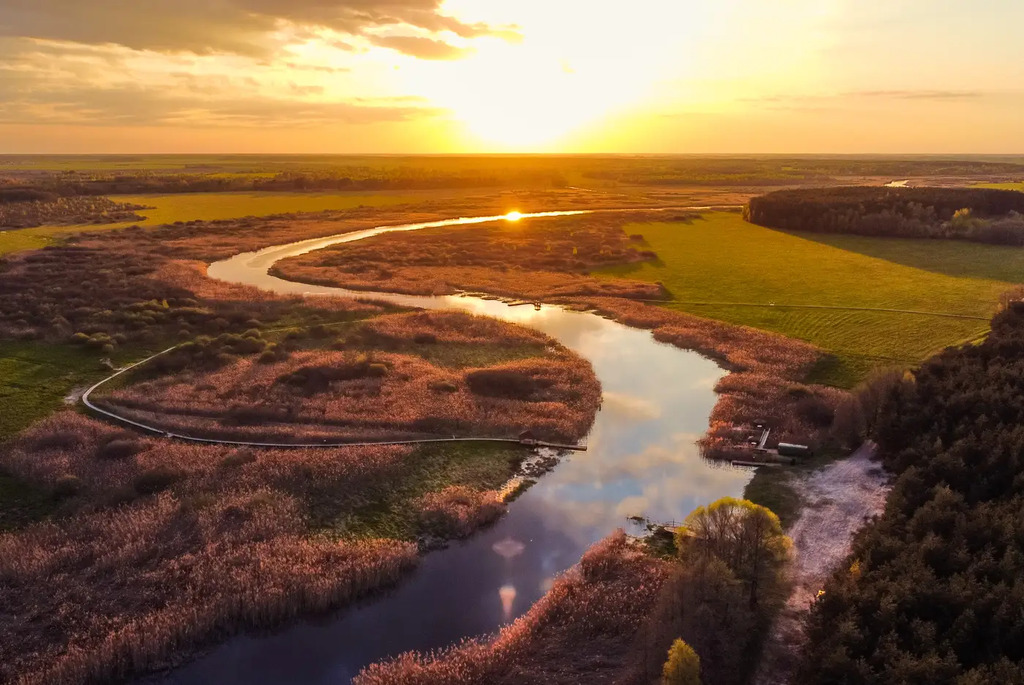В краю вертлявой камышевки