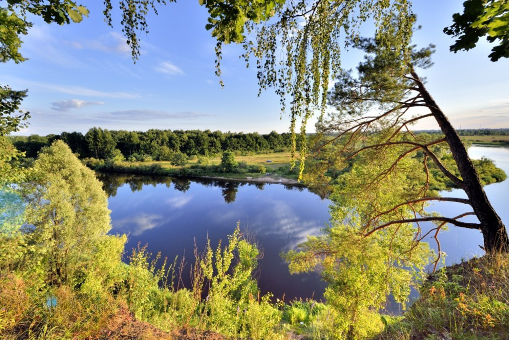заказник «Выдрица»