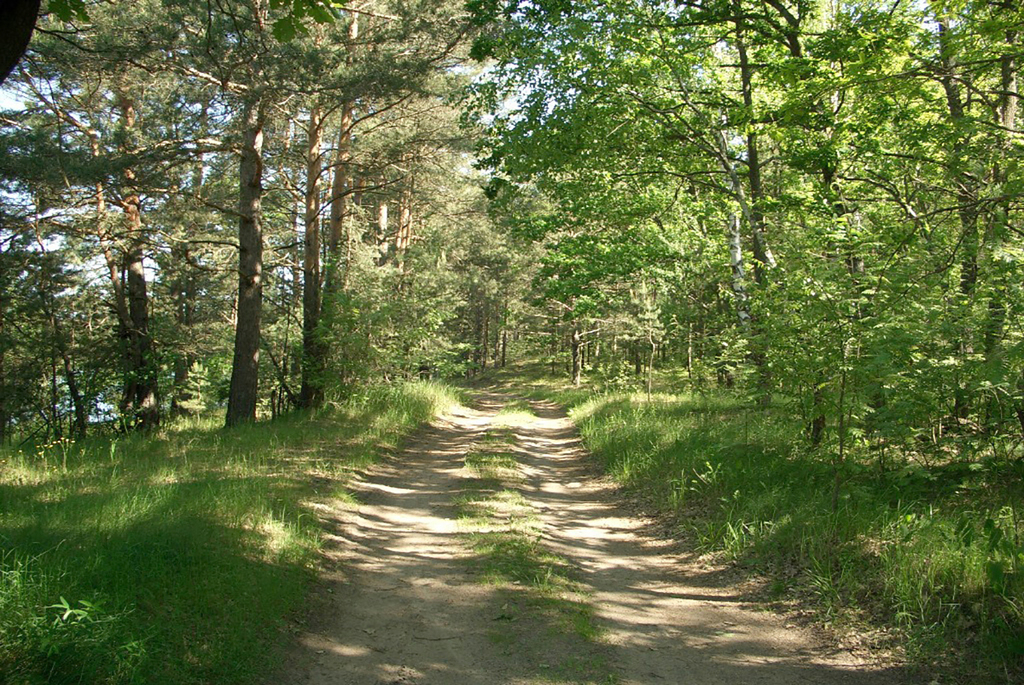 заказник «Выдрица»