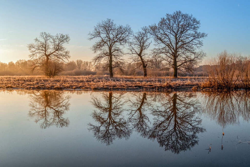 заказник «Выдрица»