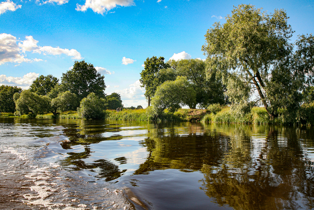 заказник «Выдрица»