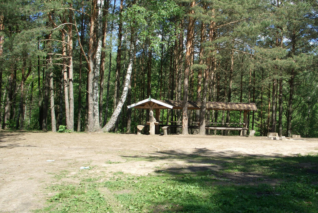 заказник «Выдрица»