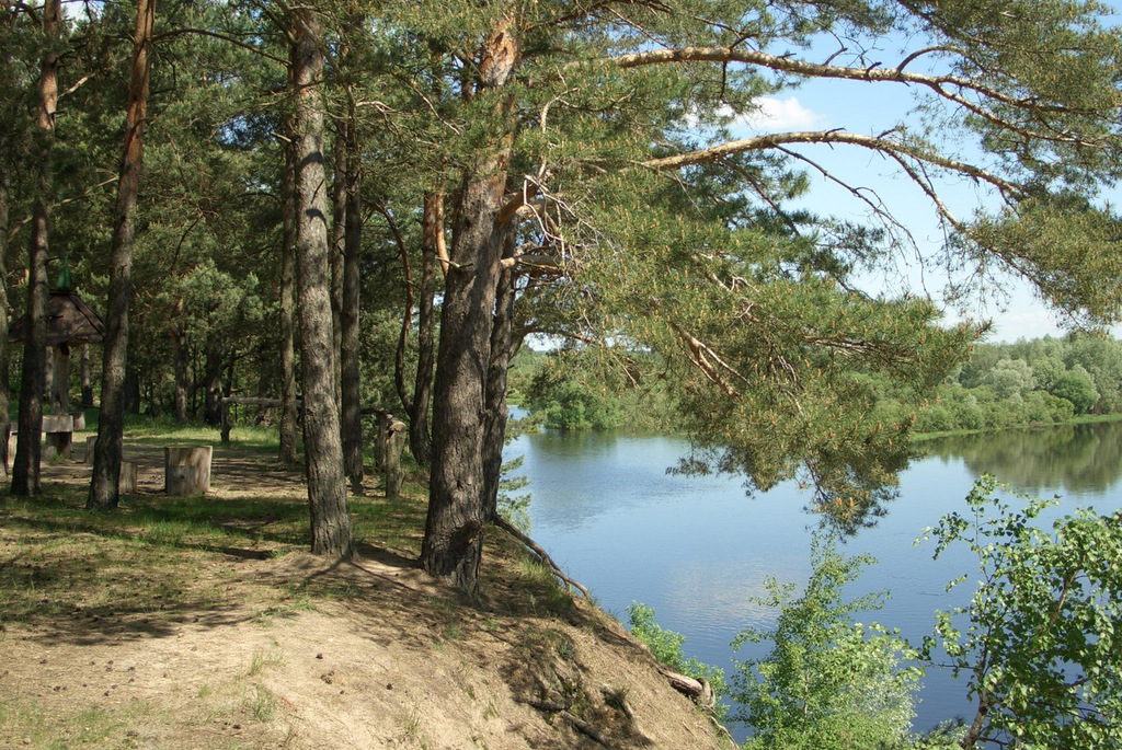 заказник «Выдрица»