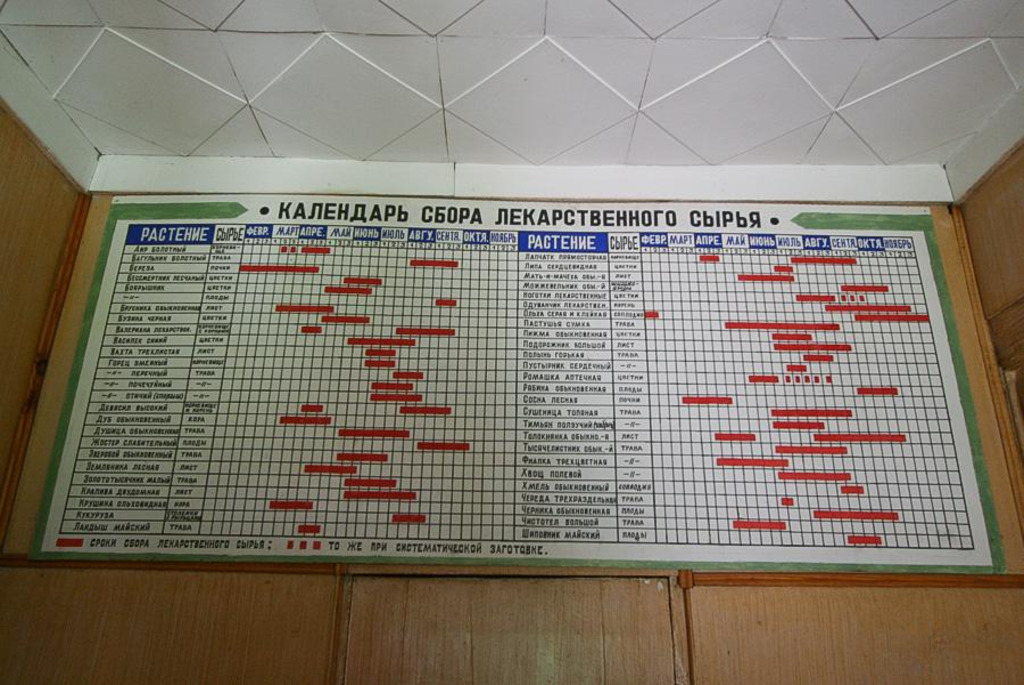 Фитоаптека в деревне Рубежевичи