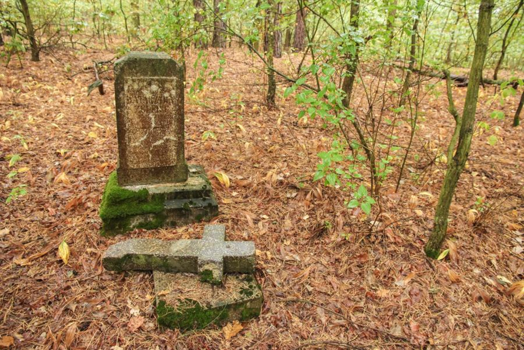 Голландские поселения в деревне Домачево