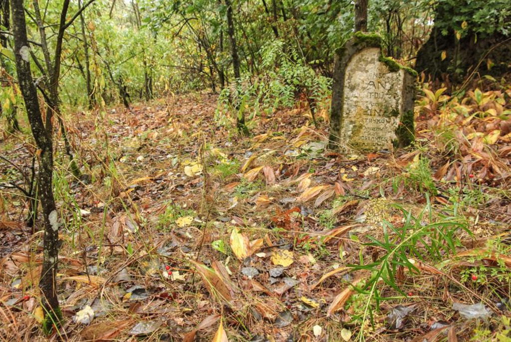 Голландские поселения в деревне Домачево