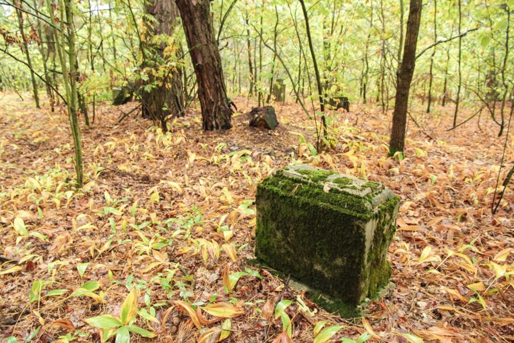 Голландские поселения в деревне Домачево