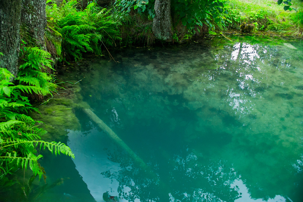 Голубая Криница