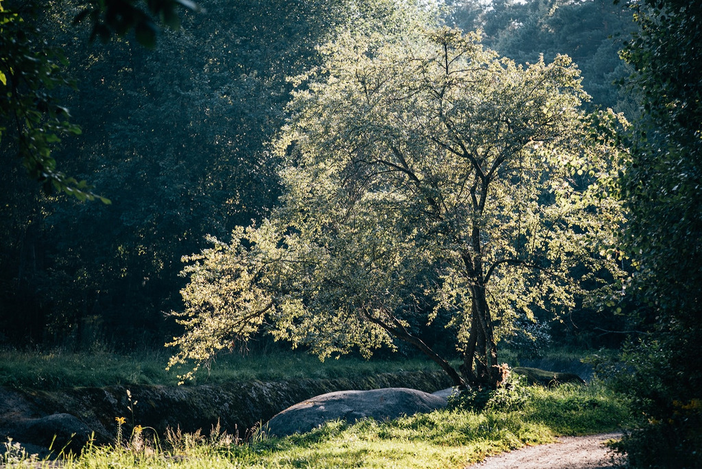 «Горная река» под Минском