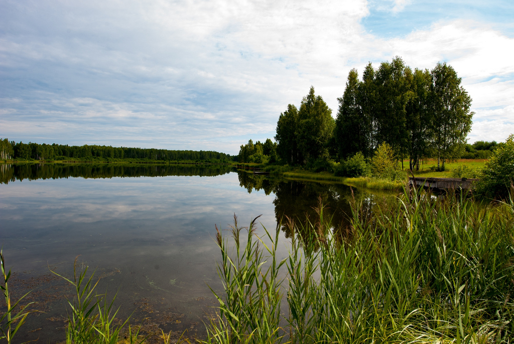 Государственное лесохозяйственное учреждение «Тетеринское»