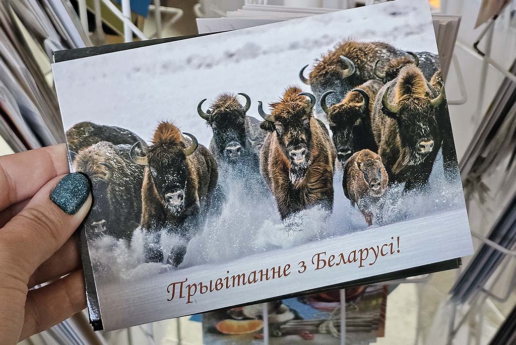 книжный магазин Раніца