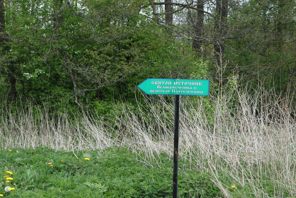 Источник Святого Пантелеймона в деревне Лоск