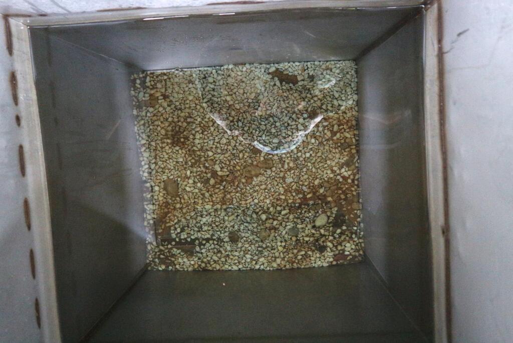 Источник Святого Пантелеймона в деревне Лоск