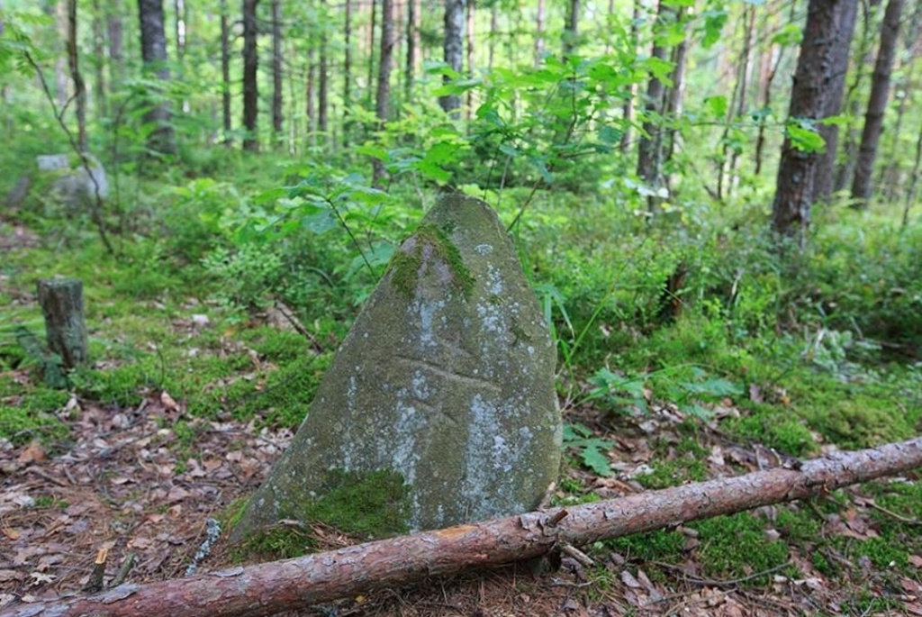 каменные кресты в деревне Заозерье
