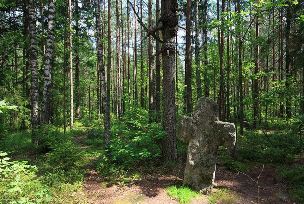 каменные кресты в деревне Заозерье