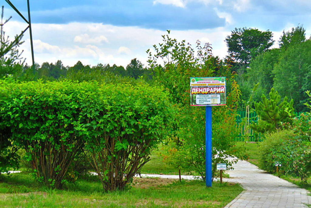 Кличевский дендропарк