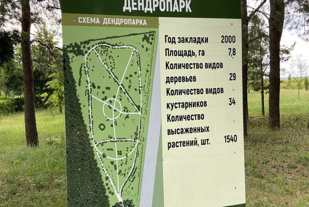 Кличевский дендропарк