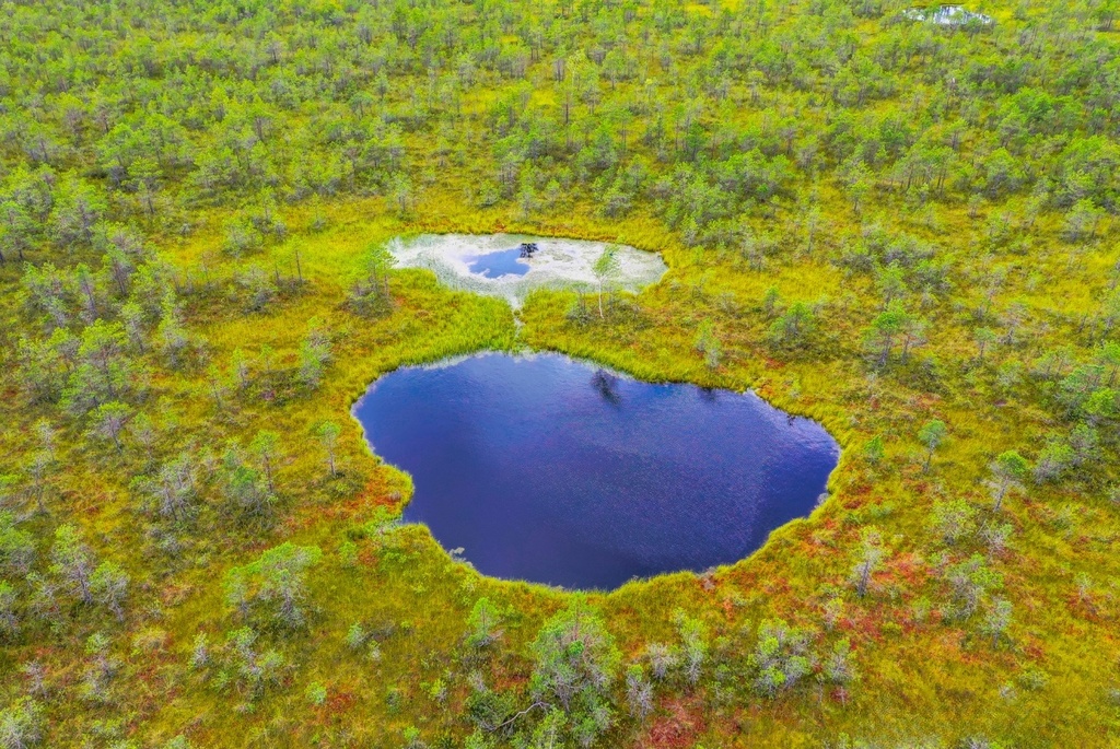 Козьянские болота – загадочный «Белорусский Меркурий»