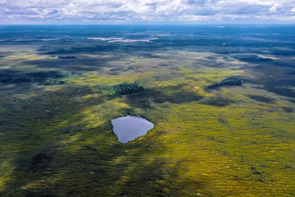 Козьянские болота – «Белорусский Меркурий»