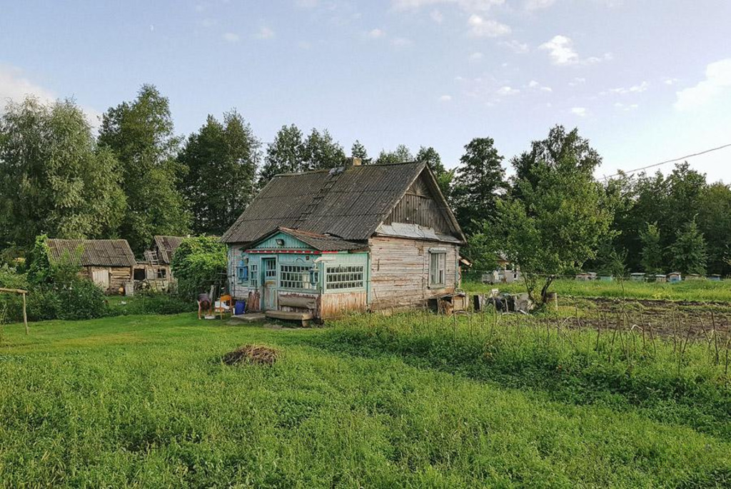 Музей пчеловодства в Качановичах