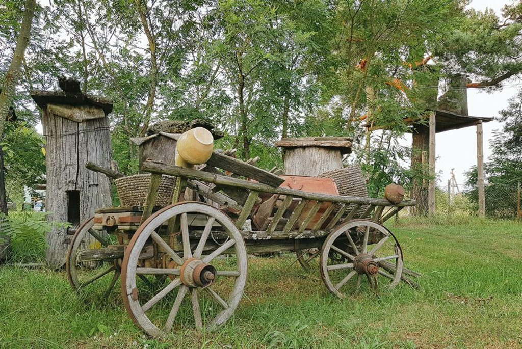 Музей пчеловодства в Качановичах