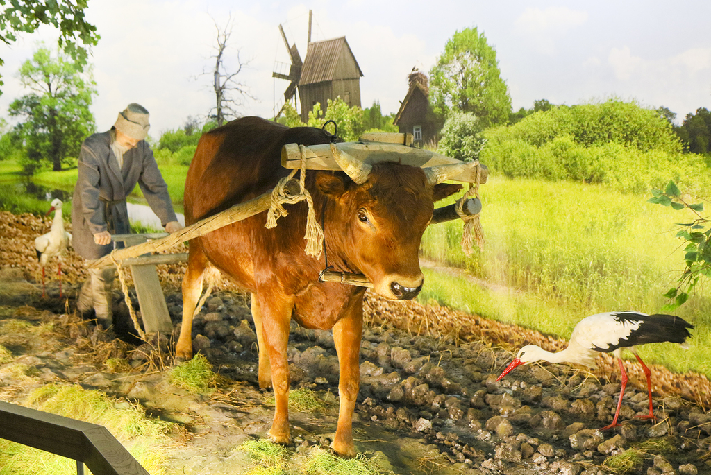 
			<p>Быт и традиции</p>
			